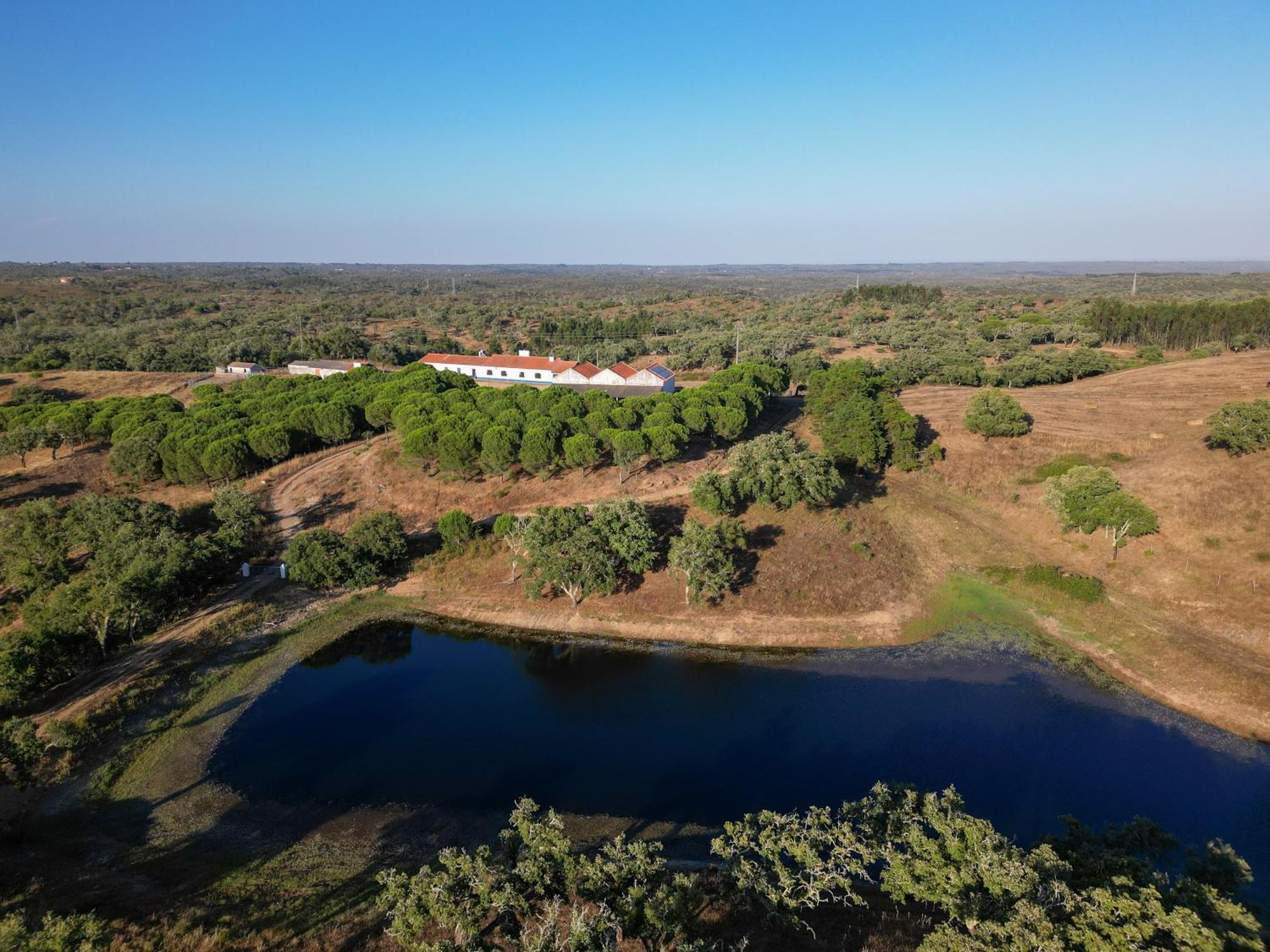 A Casinha Séjour à la ferme São Bartolomeu da Serra